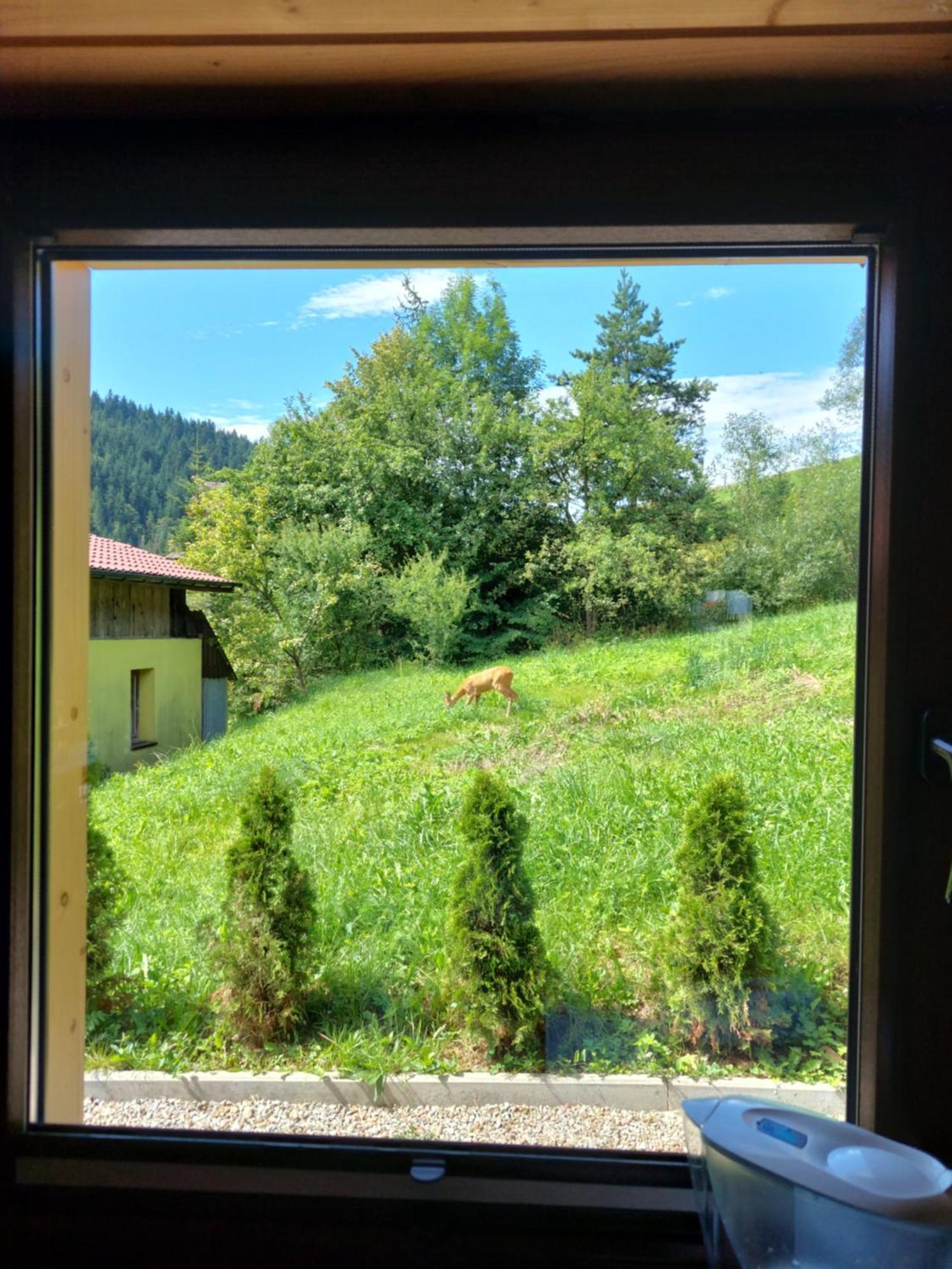 Pod Tylka * Grywald